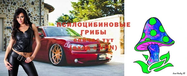 марки lsd Аркадак