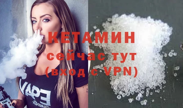 гидра Няндома